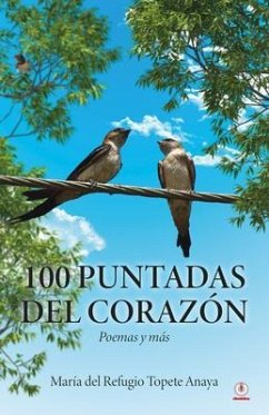 Cover 100 puntadas del corazón (eBook, ePUB)