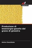 Produzione di bioenergia-gasolio dal grano di ginestra