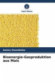 Bioenergie-Gasproduktion aus Mais