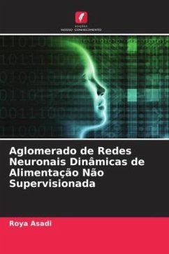 Cover Aglomerado de Redes Neuronais Dinâmicas de Alimentação Não Supervisionada