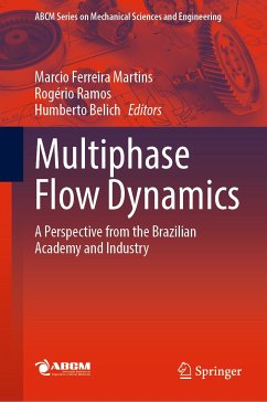 Multiphase Flow Dynamics (eBook, PDF)