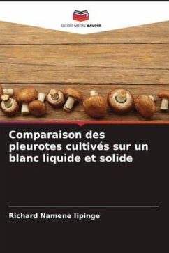 Comparaison des pleurotes cultivés sur un blanc liquide et solide - Iipinge, Richard Namene