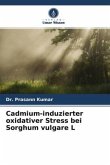 Cadmium-induzierter oxidativer Stress bei Sorghum vulgare L