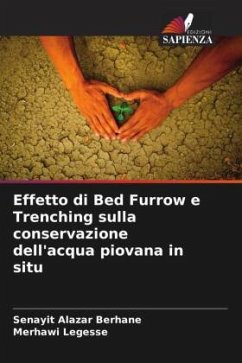 Effetto di Bed Furrow e Trenching sulla conservazione dell'acqua piovana in situ - Alazar Berhane, Senayit;Legesse, Merhawi