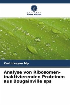Analyse von Ribosomen-inaktivierenden Proteinen aus Bougainville sps - Mp, Karthikeyan