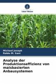 Analyse der Produktionseffizienz von maisbasierten Anbausystemen