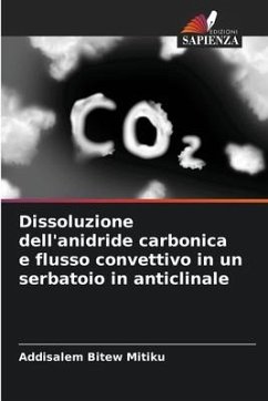 Dissoluzione dell'anidride carbonica e flusso convettivo in un serbatoio in anticlinale - Mitiku, Addisalem Bitew