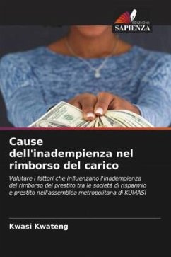 Cause dell'inadempienza nel rimborso del carico - Kwateng, Kwasi