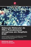 Detecção Molecular de MBLs Pseudomonas aeruginosa em Hospitais Erbil