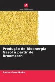 Produção de Bioenergia-Gasol a partir de Broomcorn