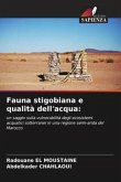 Fauna stigobiana e qualità dell'acqua: