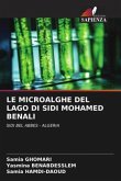 LE MICROALGHE DEL LAGO DI SIDI MOHAMED BENALI