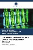 DIE MIKROALGEN IM SEE VON SIDI MOHAMED BENALI