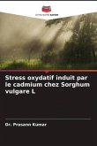 Stress oxydatif induit par le cadmium chez Sorghum vulgare L