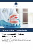 Glasfaserstift-Zahn-Schnittstelle