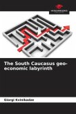 The South Caucasus geo-economic labyrinth