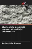 Studio delle proprietà microstrutturali del calcestruzzo