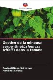 Gestion de la mineuse serpentine(Liriomyza trifolii) dans la tomate
