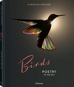 Birds - Spencer, Christian