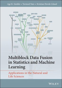 Multiblock Data Fusion in Statistics and Machine Learning (eBook, PDF) - Smilde, Age K.; Næs, Tormod; Liland, Kristian Hovde