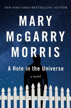 Cover A Hole in the Universe (eBook, ePUB)