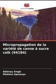 Micropropagation de la variété de canne à sucre colk (94184)