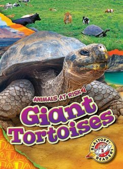 Giant Tortoises - Grack, Rachel