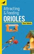Attracting & Feeding Orioles - Bild 1