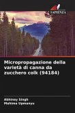 Micropropagazione della varietà di canna da zucchero colk (94184)