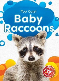 Baby Raccoons - Neuenfeldt, Elizabeth