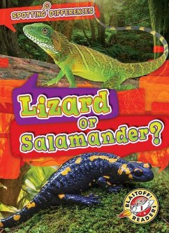 Lizard or Salamander? - Schuh, Mari C