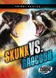 Skunk vs. Raccoon - Bild 1