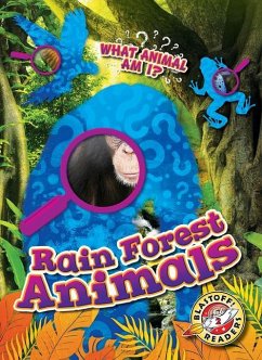 Rain Forest Animals - Sabelko, Rebecca