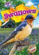 Swallows - Bild 1
