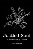 Jostled Soul