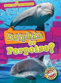 Dolphin or Porpoise? - Schuh, Mari C