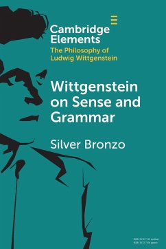 Wittgenstein on Sense and Grammar - Bronzo, Silver