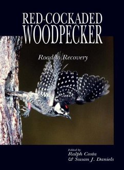 Red Cockaded Woodpecker - Costa, Ralph; Usfw