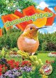 Hummingbirds - Bild 1