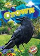 Crows - Bild 1