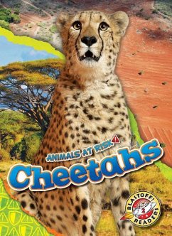 Cheetahs - Grack, Rachel