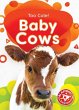 Baby Cows - Bild 1