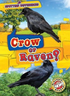 Crow or Raven? - Schuh, Mari C