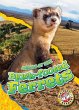 Black-Footed Ferrets - Bild 1