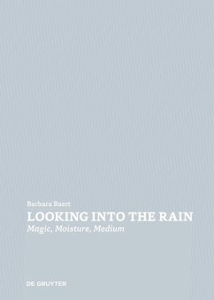 Cover Looking Into the Rain (eBook, PDF)