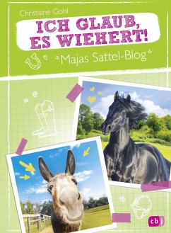Sommer, Sonne, schwarzer Hengst / Majas Sattel-Blog Bd.2 - Gohl, Christiane