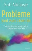 Probleme sind zum Lösen da