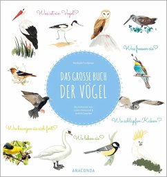 Das große Buch der Vögel - Tordjman, Nathalie