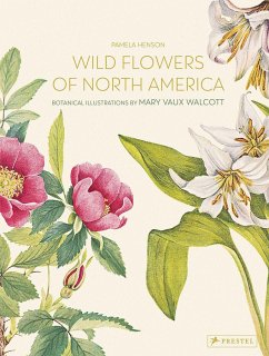 Wild Flowers of North America - Henson, Pamela