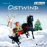Ein besonderes Weihnachtsgeschenk & Seehunde in Not / Ostwind für Erstleser Bd.13 & 15